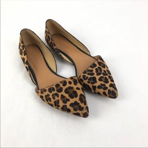 Leopard  jcrew flats can fit a 7.5